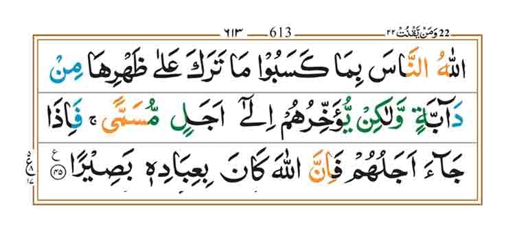 Surah Fatir Page 9