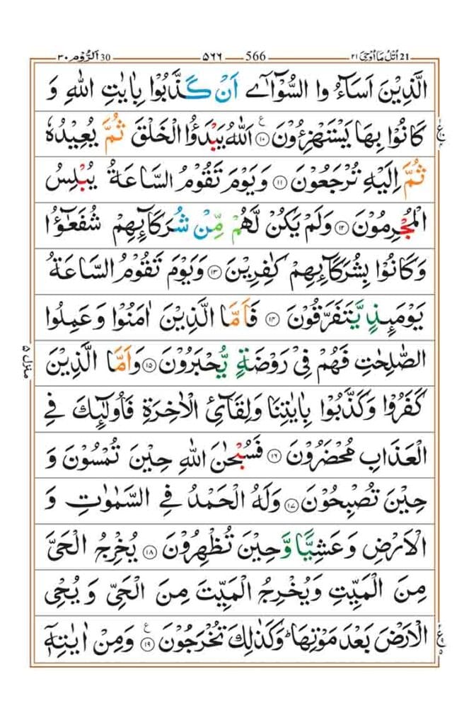 Surah Room Page 3