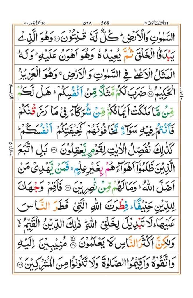 Surah Room Page 5