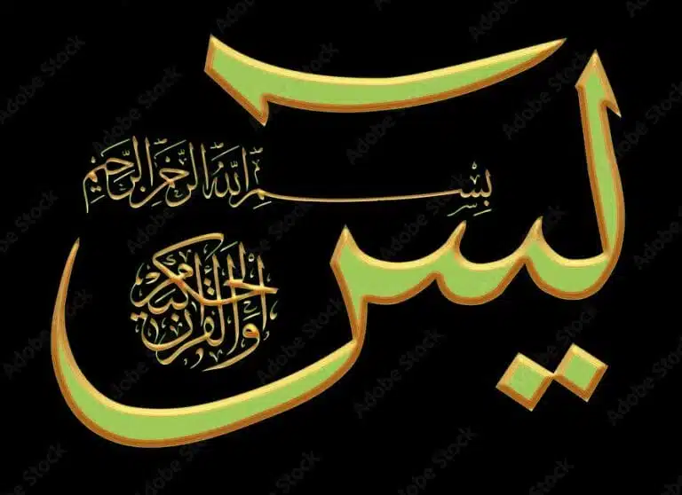 Surah Yaseen Heart of the Quran by Faizeislam.info